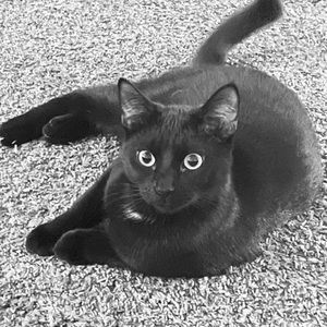 Meet your Posher, Evan